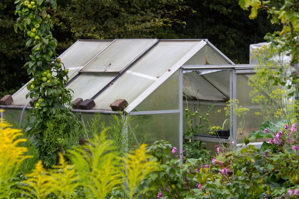 Kleines Gewächshaus im Garten